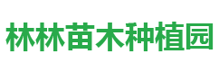 马龙区林林苗木种植园